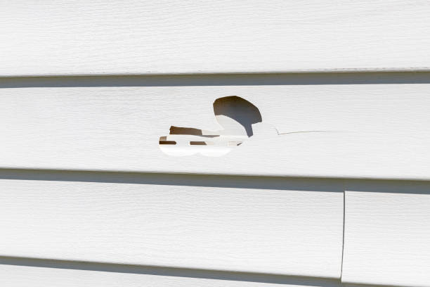 Best Siding Removal and Disposal  in Dayton, NJ