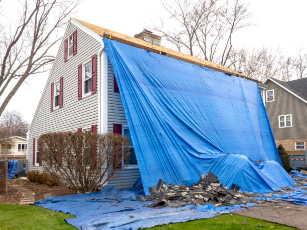 Best Residential Vinyl Siding Installation  in Dayton, NJ