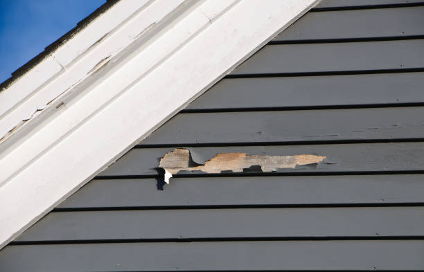Best Siding Painting and Refinishing  in Dayton, NJ