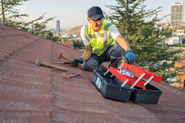 Best Historical Building Siding Restoration  in Dayton, NJ