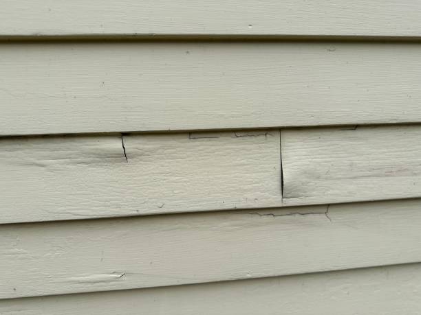 Best Engineered Wood Siding  in Dayton, NJ
